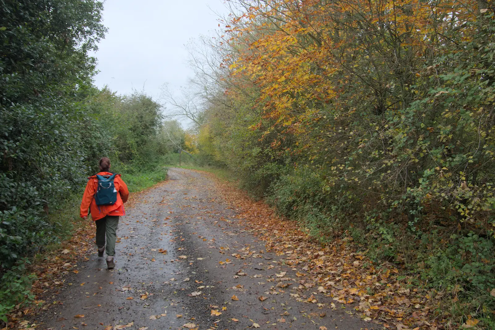 Isobel strides up an autumnal lane to Warren Hills, from A Quiz at Diss Golf Club, Stuston - 18th October 2024