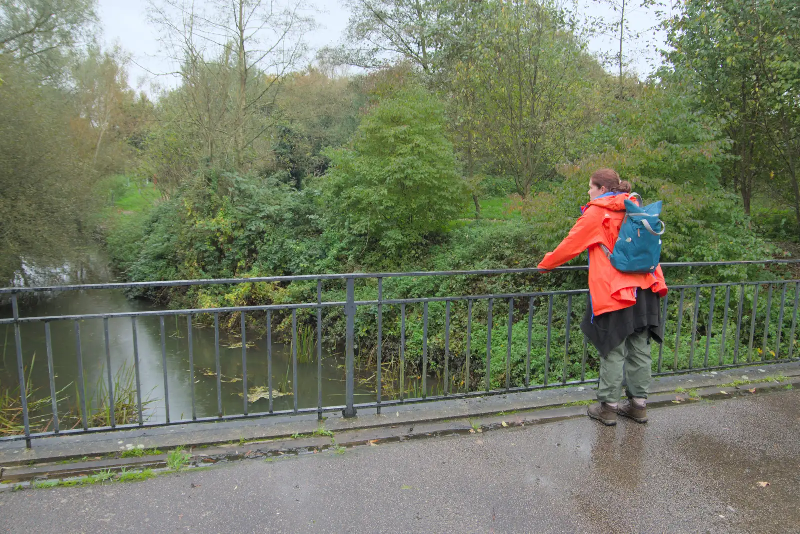 Isobel looks at the Waveney at Scole Pocket Park, from A Quiz at Diss Golf Club, Stuston - 18th October 2024