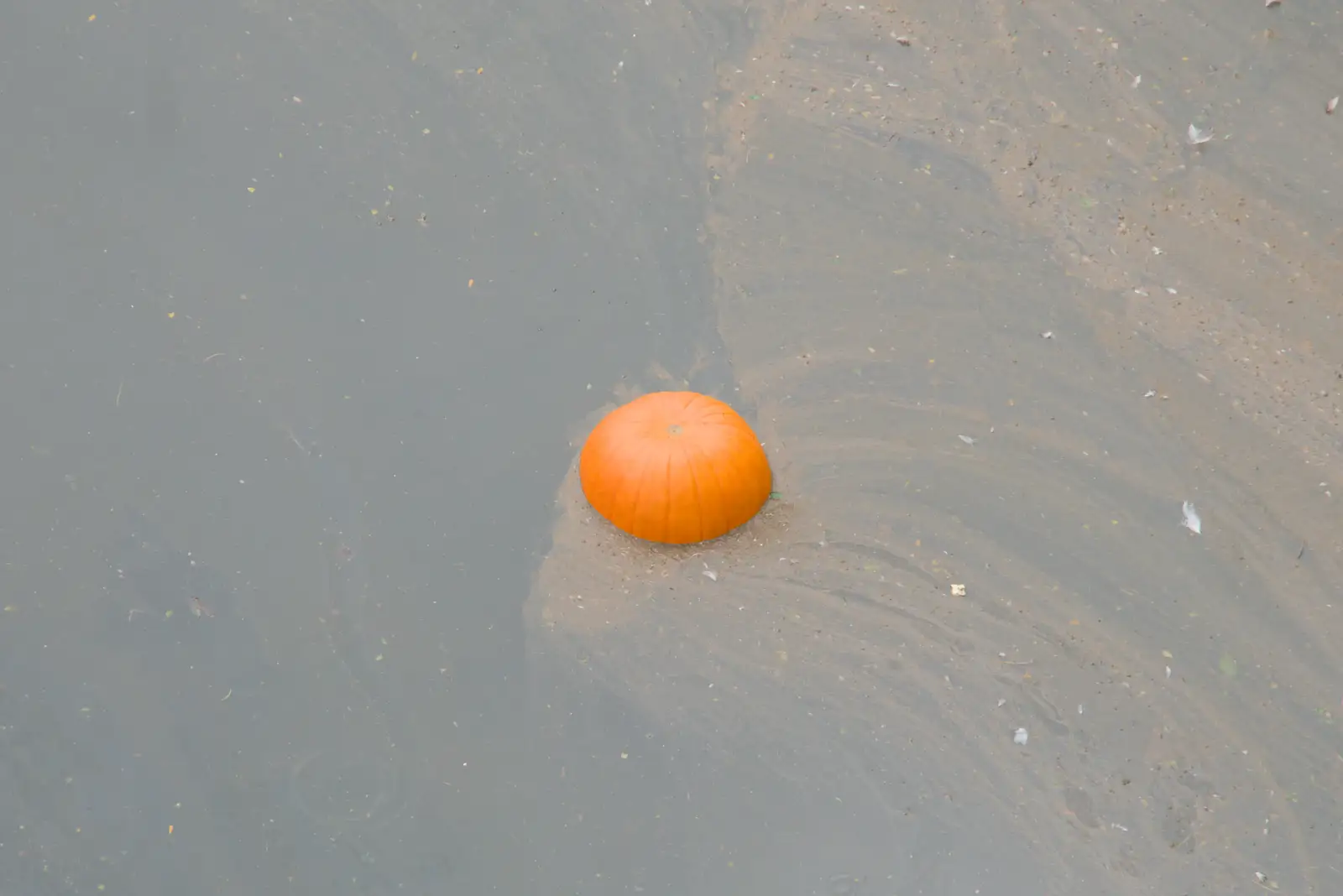 There's a pumpkin floating in the Riu Onyar, from A Return to Girona, Catalunya, Spain - 29th October 2024