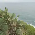 A giant Prickly Pear cactus on the clifftop, A Postcard From Tossa de Mar, Catalunya, Spain - 30th October 2024