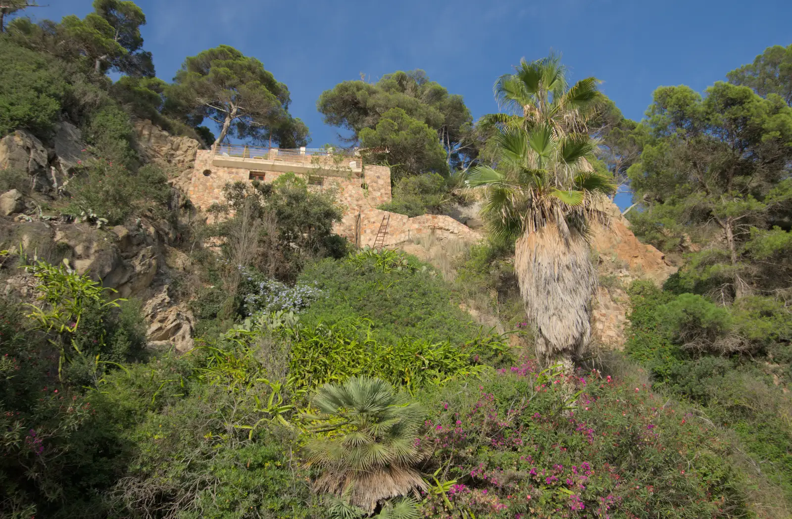 Isobel was distubed about the extreme cliff garden, from Blanes, and the Castanyada Festival, Lloret de Mar, Catalunya - 1st November 2024