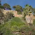 Isobel was distubed about the extreme cliff garden, Blanes, and the Castanyada Festival, Lloret de Mar, Catalunya - 1st November 2024