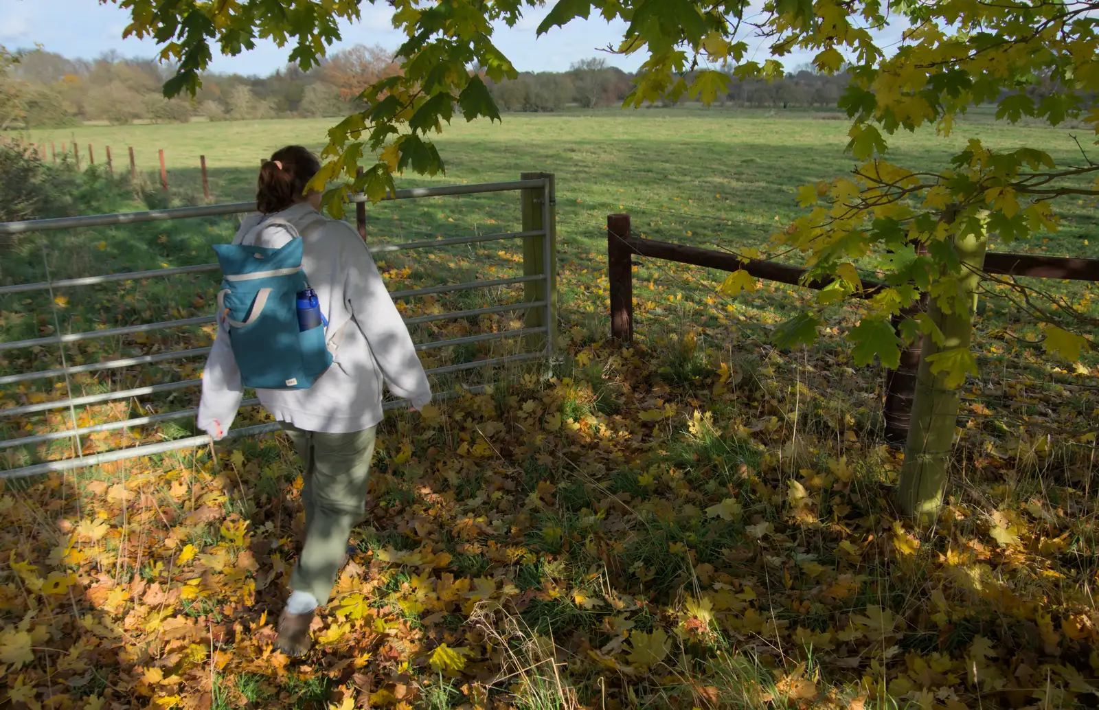 We walk around the gate on the path, from A Pub Walk to Ampersand, Diss, Norfolk - 17th November 2024