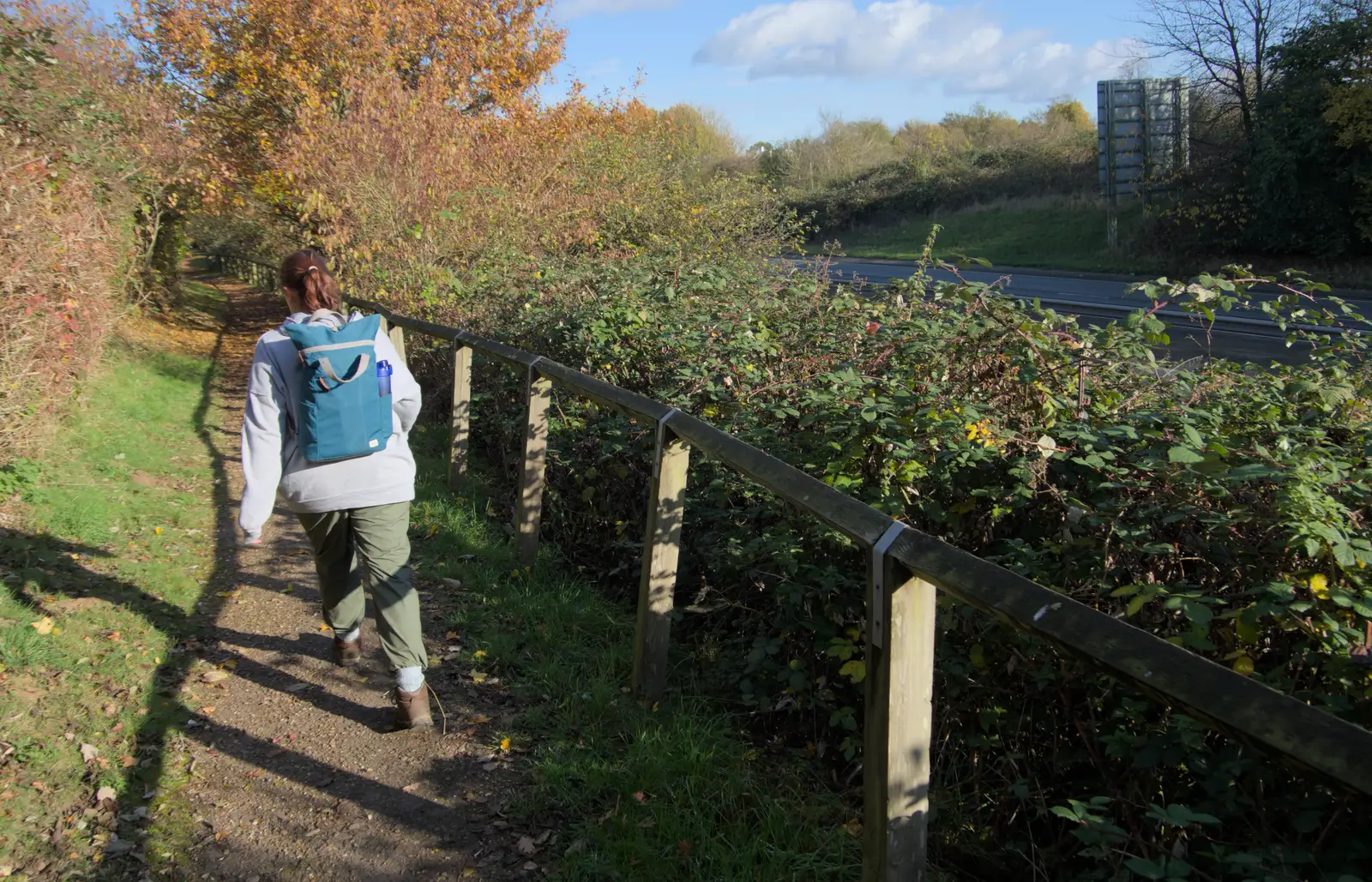 We walk up the path by the Scole bypass, from A Pub Walk to Ampersand, Diss, Norfolk - 17th November 2024