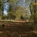 Miller's Lane turns out to be a nice walk , A Pub Walk to Ampersand, Diss, Norfolk - 17th November 2024