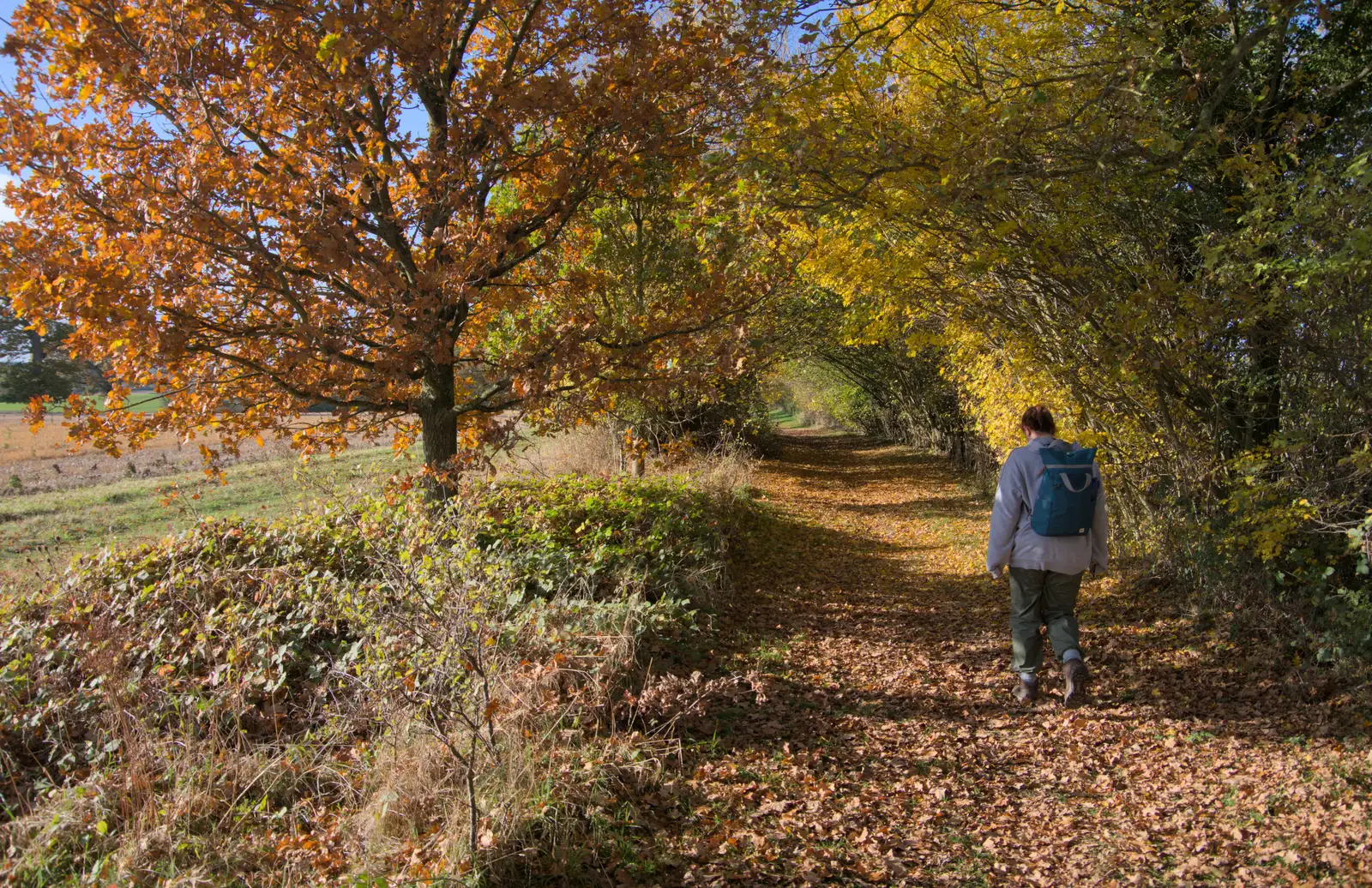 Isobel on an autumnal Miller's Lane, from A Pub Walk to Ampersand, Diss, Norfolk - 17th November 2024