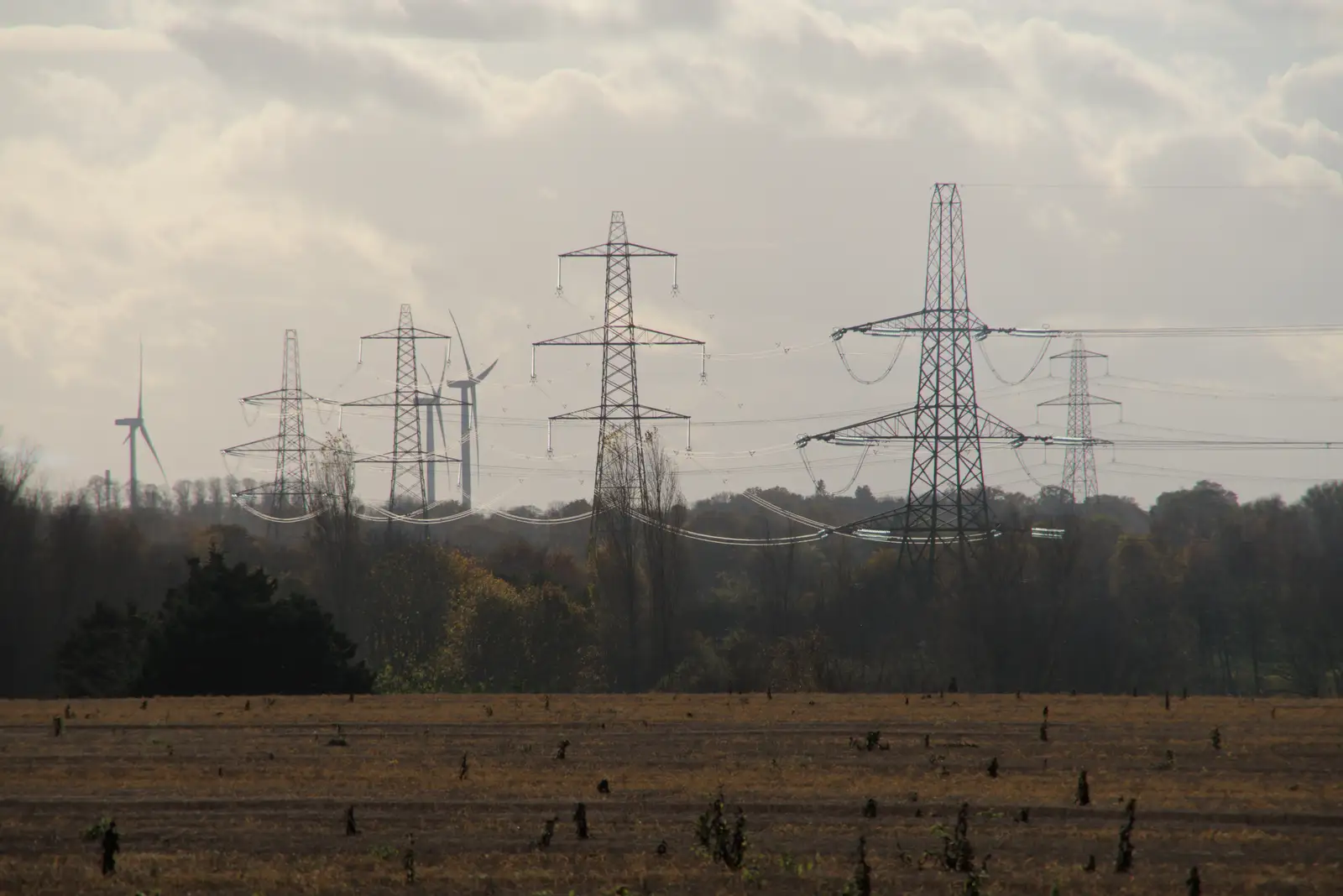 High voltage wires are back-lit, from A Pub Walk to Ampersand, Diss, Norfolk - 17th November 2024