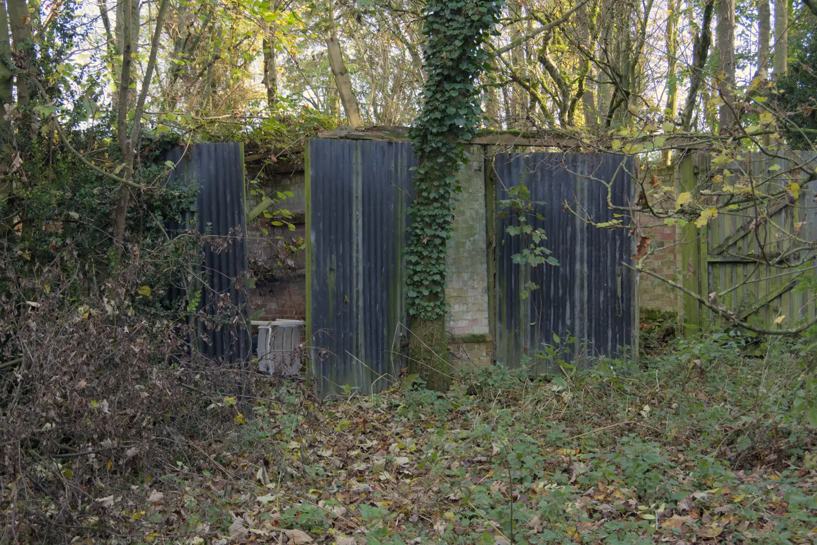 Derelict buildings on the way to Frenze Hall, from A Pub Walk to Ampersand, Diss, Norfolk - 17th November 2024