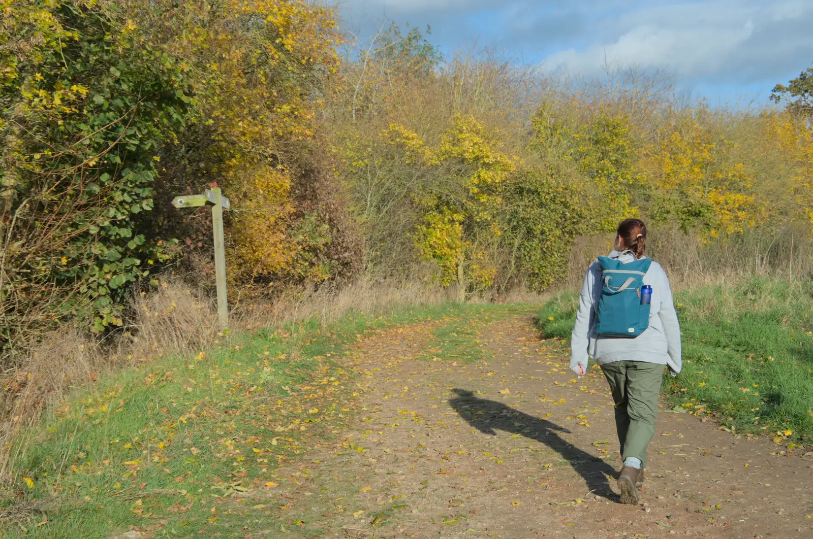 We're walking on a bit of Boudicca Way, from A Pub Walk to Ampersand, Diss, Norfolk - 17th November 2024