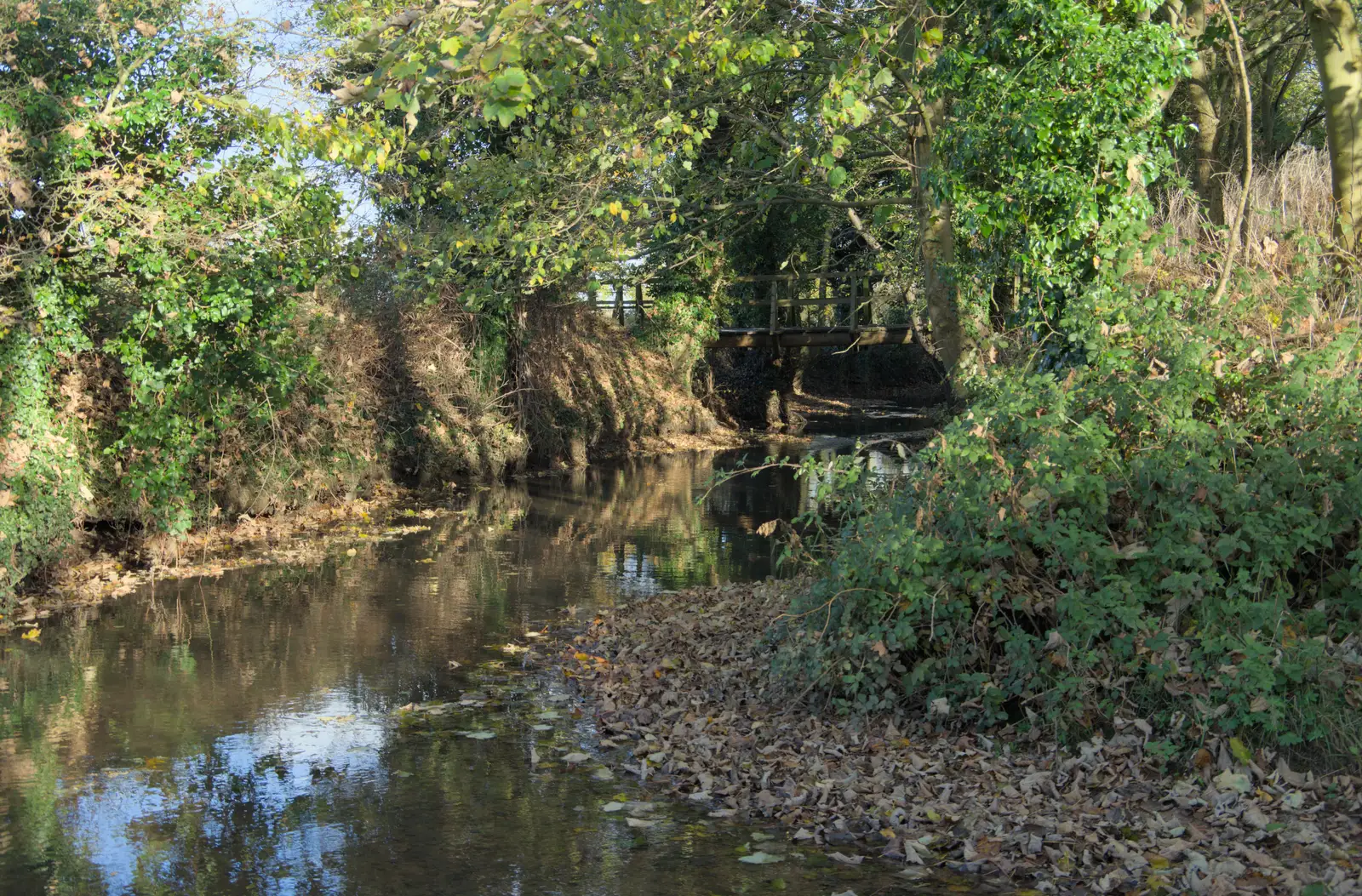 Frenze Beck and the footbridge over it, from A Pub Walk to Ampersand, Diss, Norfolk - 17th November 2024