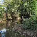 Frenze Beck and the footbridge over it, A Pub Walk to Ampersand, Diss, Norfolk - 17th November 2024