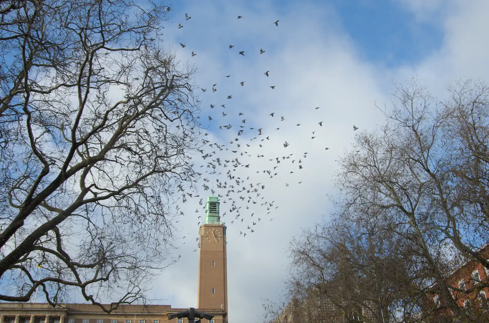 An explosion of birds wheel over the market, from Another Christmas Shopping Day, Norwich, Norfolk - 14th December 2024