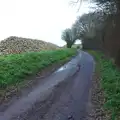 There's a beet mountain on the top road to Wickham, The Stowmarket Christmas Tree Festival and the GSB at Mellis - 20th December 2024