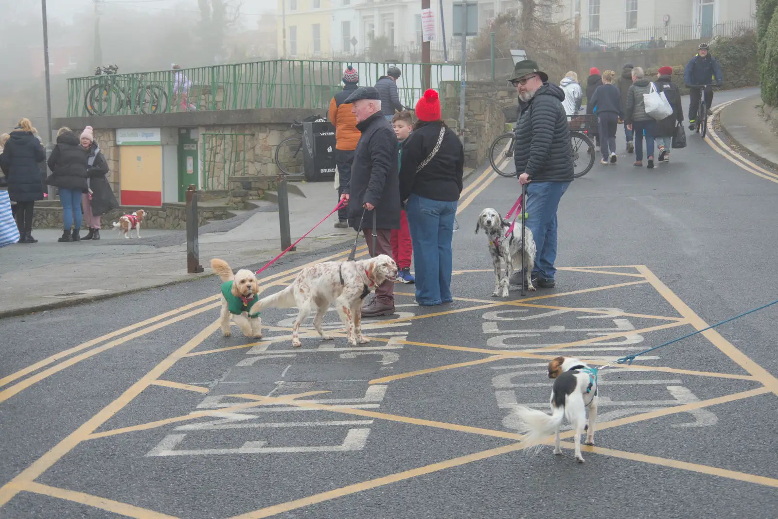 There are a lot of dogs out for walks, from St. Stephen's Day in Blackrock, County Dublin, Ireland - 26th December 2024