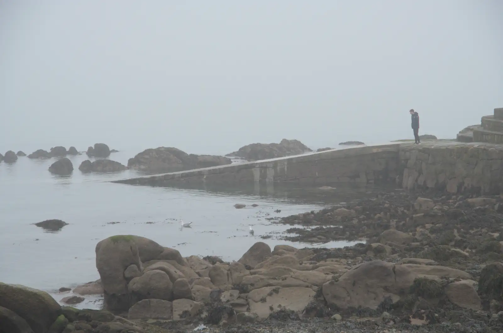 It's misty down at Seapoint , from St. Stephen's Day in Blackrock, County Dublin, Ireland - 26th December 2024