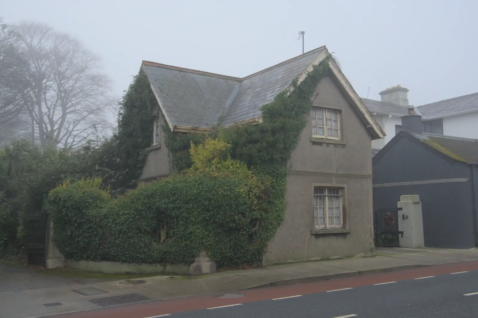 A house is reclaimed by foliage, from St. Stephen's Day in Blackrock, County Dublin, Ireland - 26th December 2024