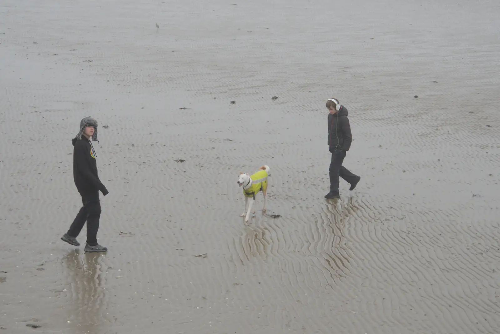 Fred and Harry with Maude, from St. Stephen's Day in Blackrock, County Dublin, Ireland - 26th December 2024