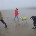 Maude runs around as we walk on the mudflats, St. Stephen's Day in Blackrock, County Dublin, Ireland - 26th December 2024