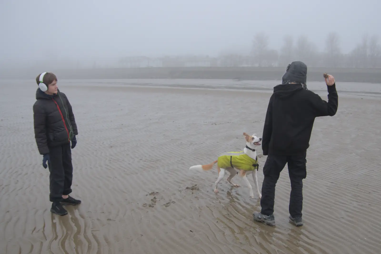 Fred lobs something for the dog, from St. Stephen's Day in Blackrock, County Dublin, Ireland - 26th December 2024