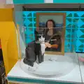 Tuxedo Cat paints the Mona Lisa in the Lego shop, St. Stephen's Day in Blackrock, County Dublin, Ireland - 26th December 2024