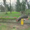 A fallen tree has trashed Brome Hall's wall, A New Year Miscellany, Brome, Suffolk - 1st January 2025