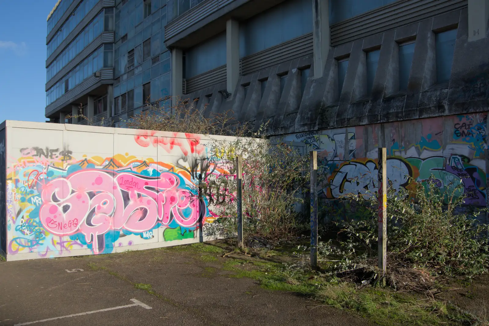 More graffiti in wilderness corner, from The Dereliction of Anglia Square, Norwich - 7th January