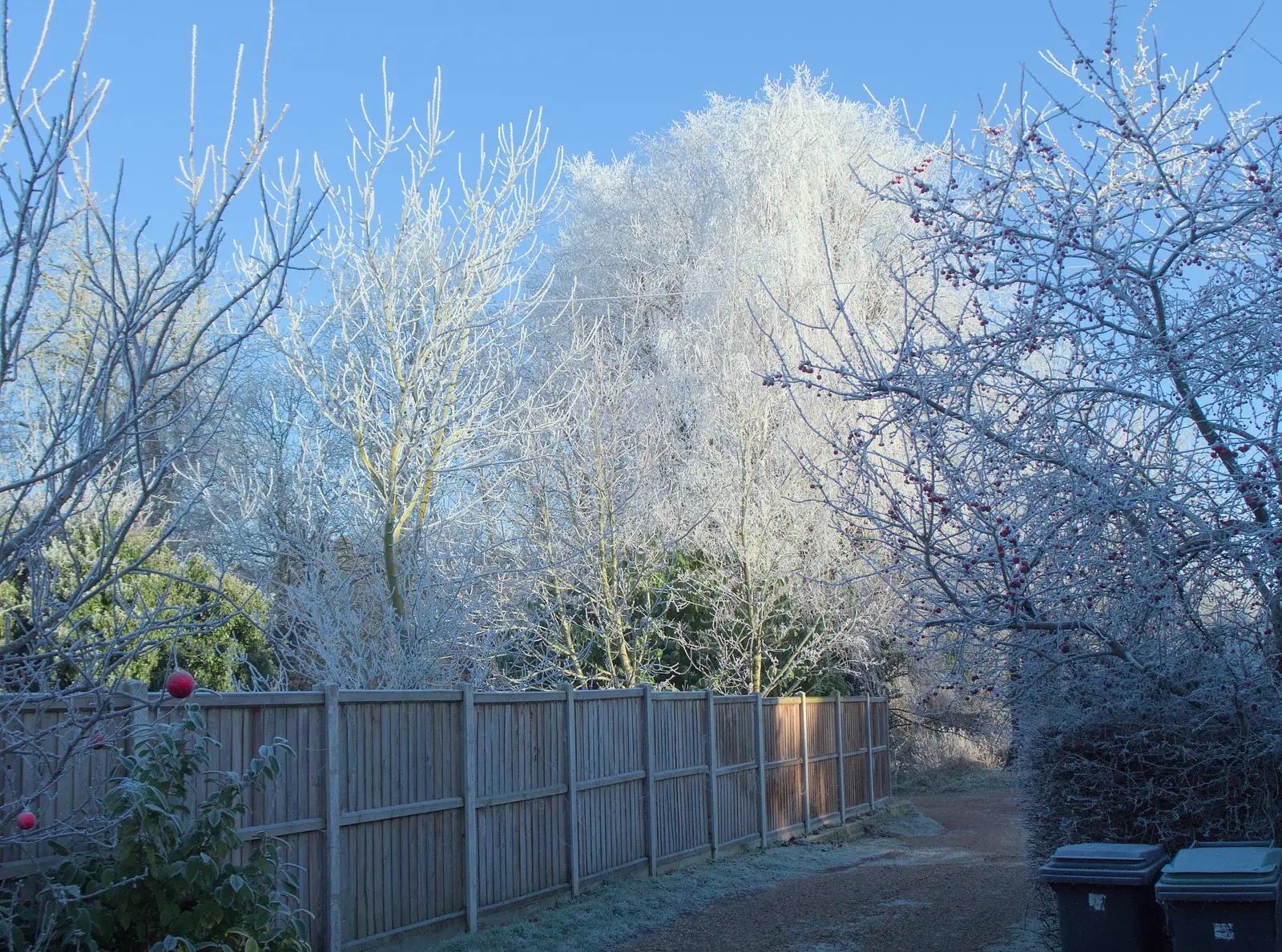 There's an impressive hoar frost, from Dove Players do Treasure Island, The Village Hall, Occold - 11th January 2025