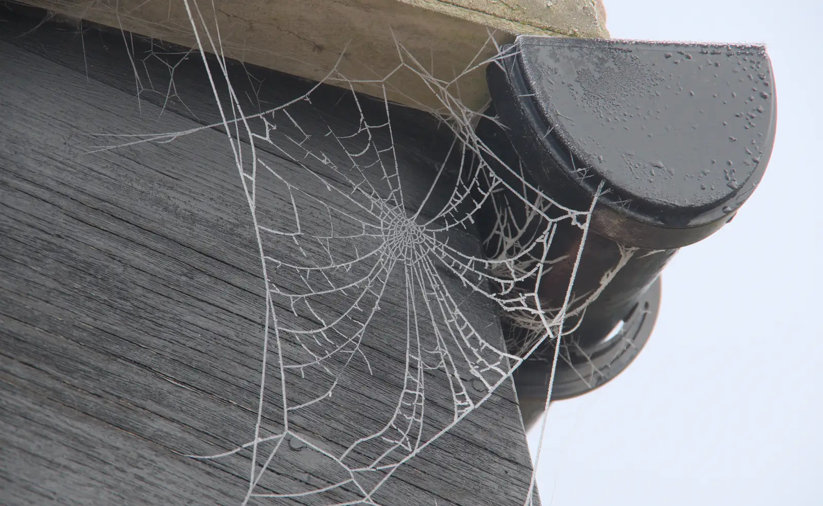 Frosty cobwebs on some guttering, from Dove Players do Treasure Island, The Village Hall, Occold - 11th January 2025