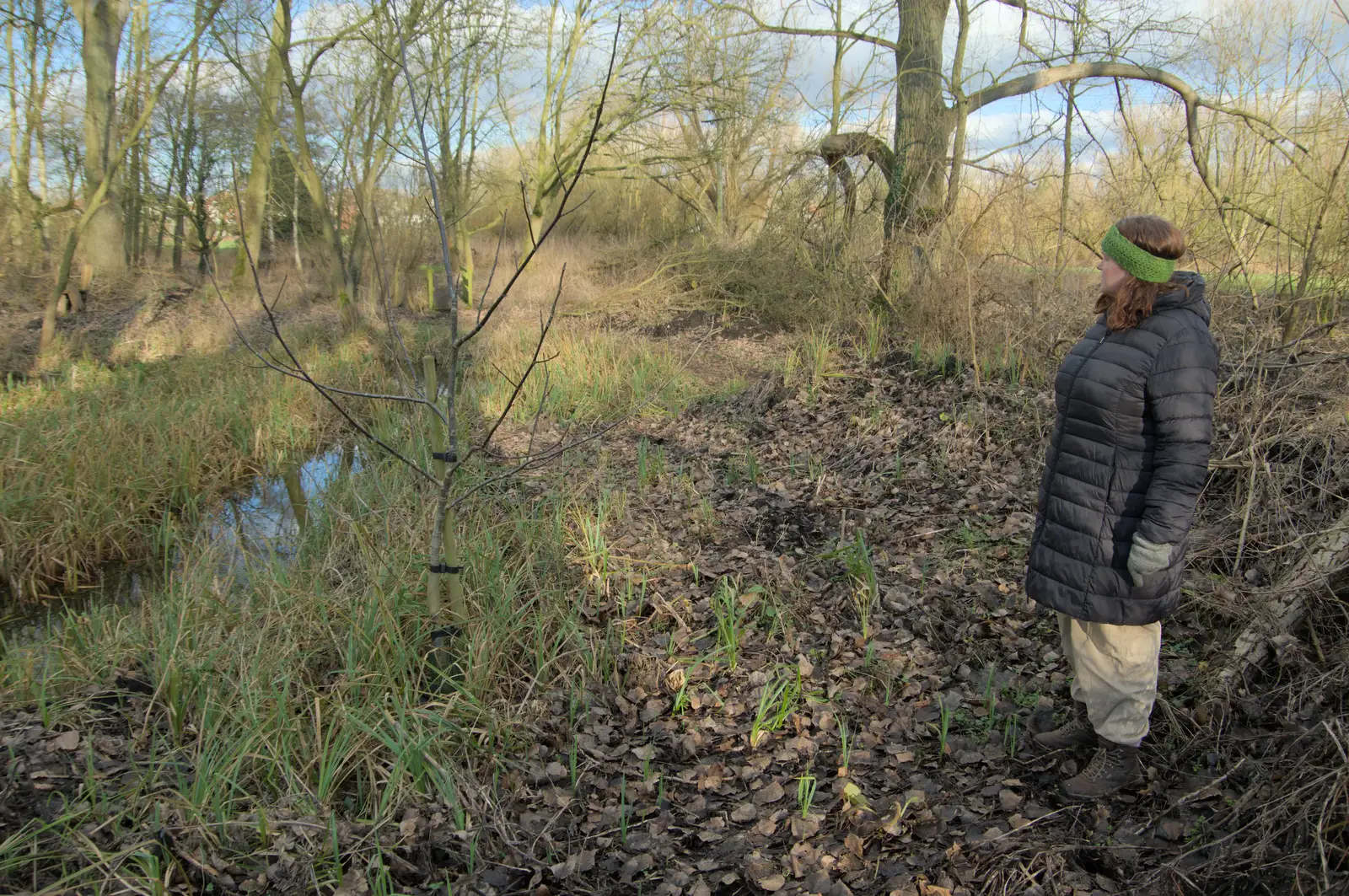 Isobel looks at Anita-tree, from The Demolition of Park Road, Diss, Norfolk - 1st February 2025