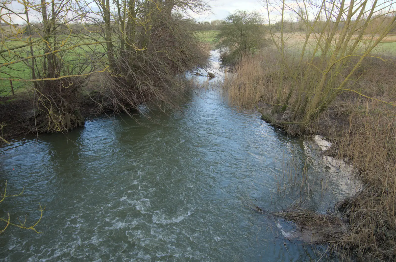 The River Dove is fairly liveley at the moment, from The Demolition of Park Road, Diss, Norfolk - 1st February 2025