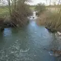 The River Dove is fairly liveley at the moment, The Demolition of Park Road, Diss, Norfolk - 1st February 2025