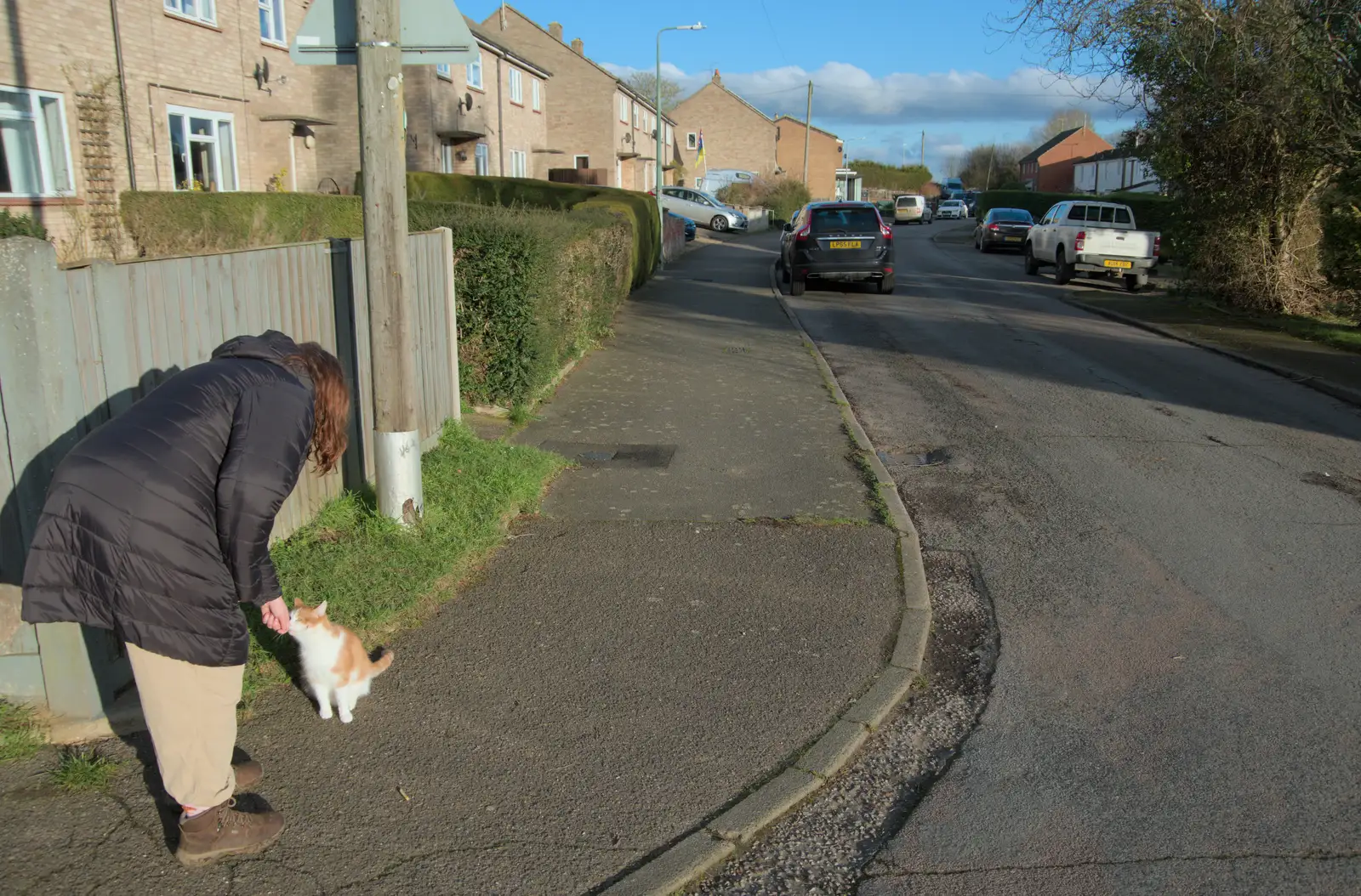 Isobel interacts with a cat, from The Demolition of Park Road, Diss, Norfolk - 1st February 2025