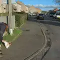 Isobel interacts with a cat, The Demolition of Park Road, Diss, Norfolk - 1st February 2025