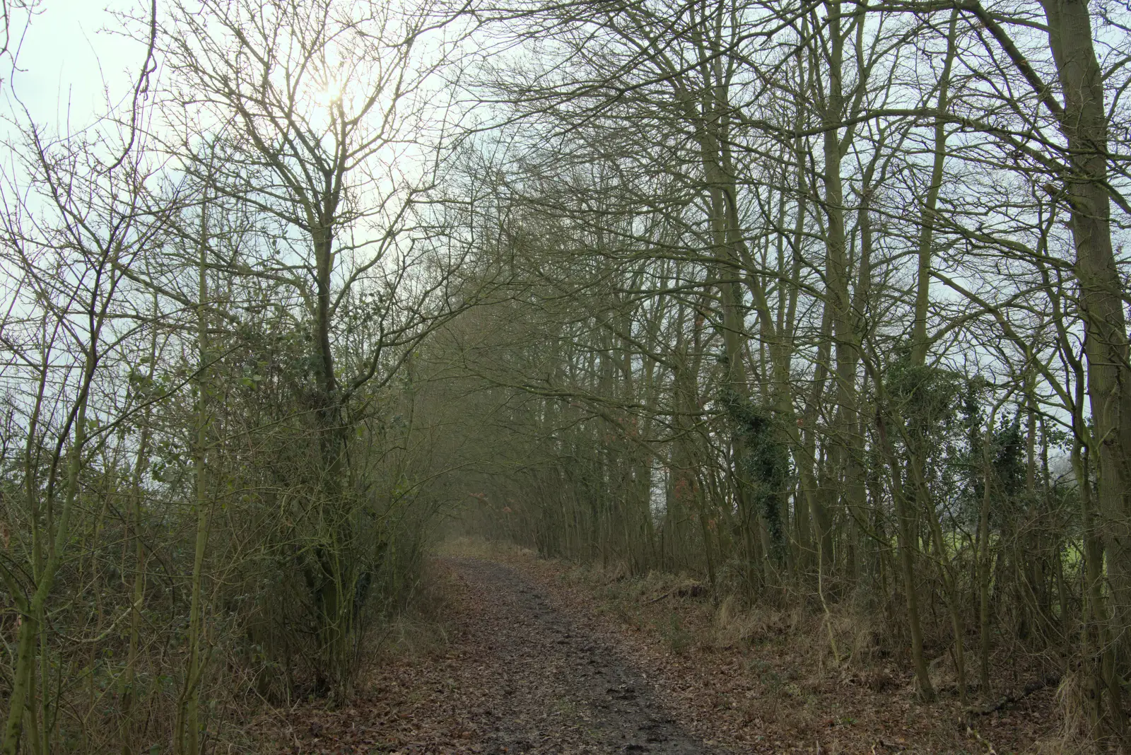 Judas Lane between Thrandeston and Mellis, from A Pub Walk to the Railway Tavern, Mellis, Suffolk - 9th February 2025