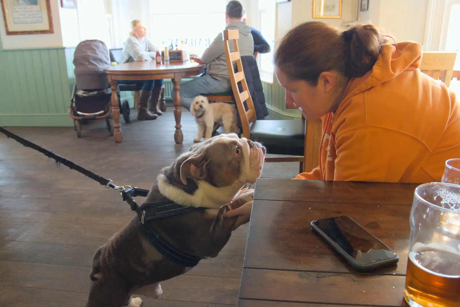 Isobel says hi to a bulldog, from A Pub Walk to the Railway Tavern, Mellis, Suffolk - 9th February 2025