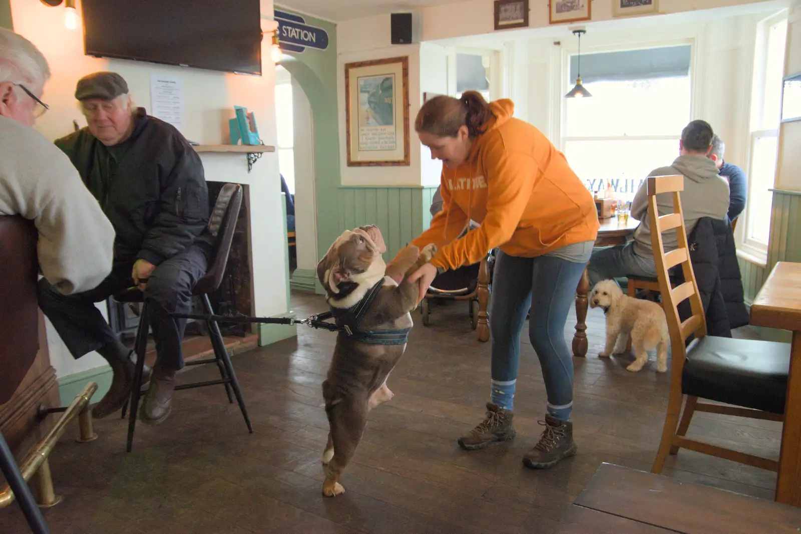 The bulldog does a bit of dancing with Isobel, from A Pub Walk to the Railway Tavern, Mellis, Suffolk - 9th February 2025