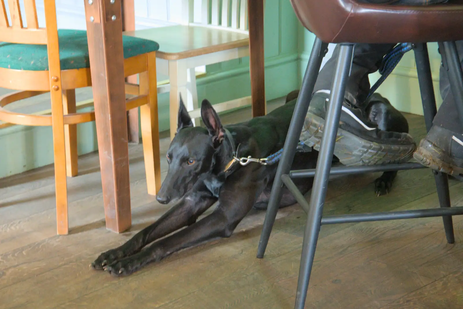 Anubis, god of death, lies on the floor of the pub, from A Pub Walk to the Railway Tavern, Mellis, Suffolk - 9th February 2025