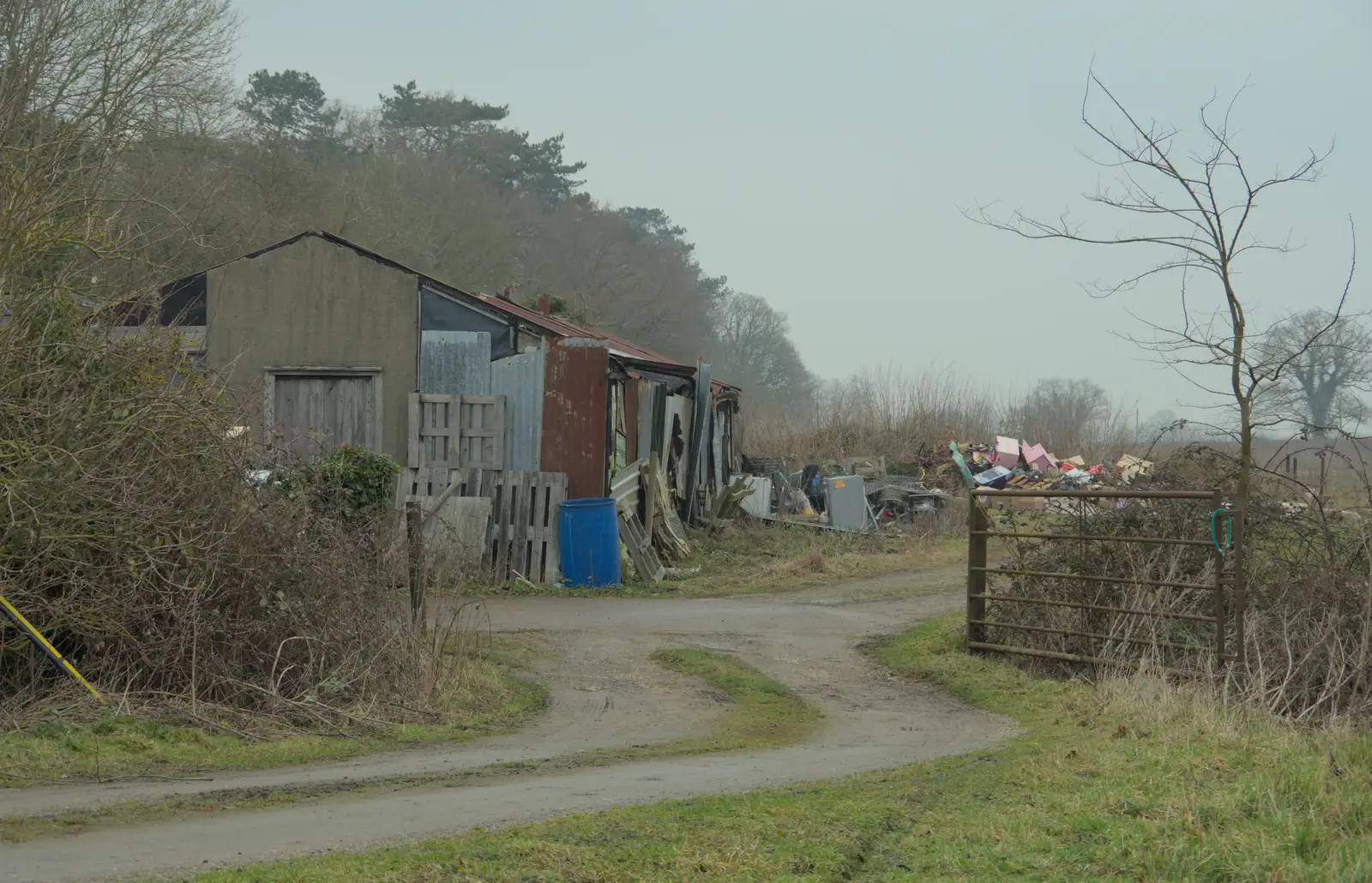 The ramshackle shed outside Mellis, from A Pub Walk to the Railway Tavern, Mellis, Suffolk - 9th February 2025