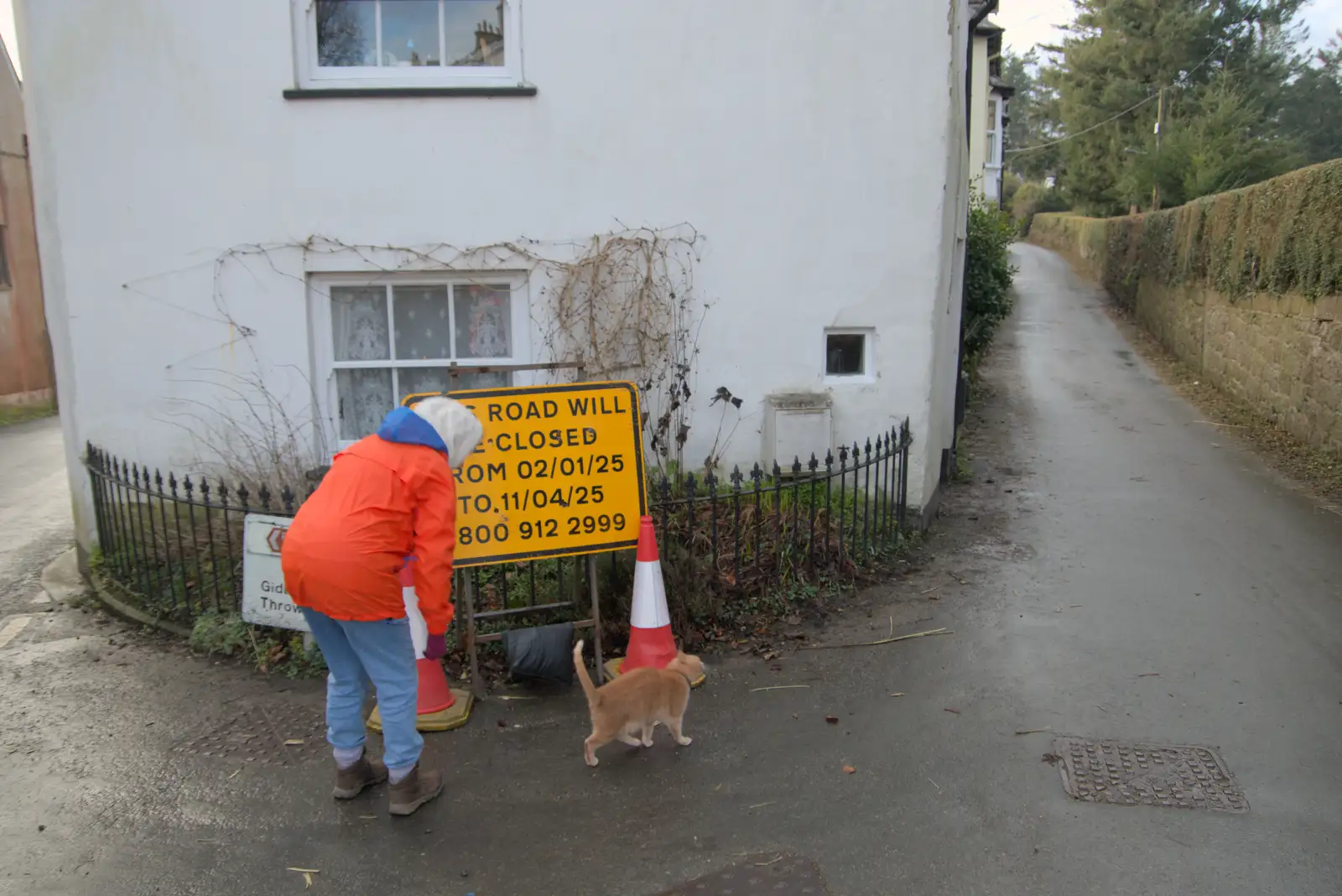 We meet a cat on Mill Street as we head for a walk, from A Return to Chagford, Devon - 16th February 2025