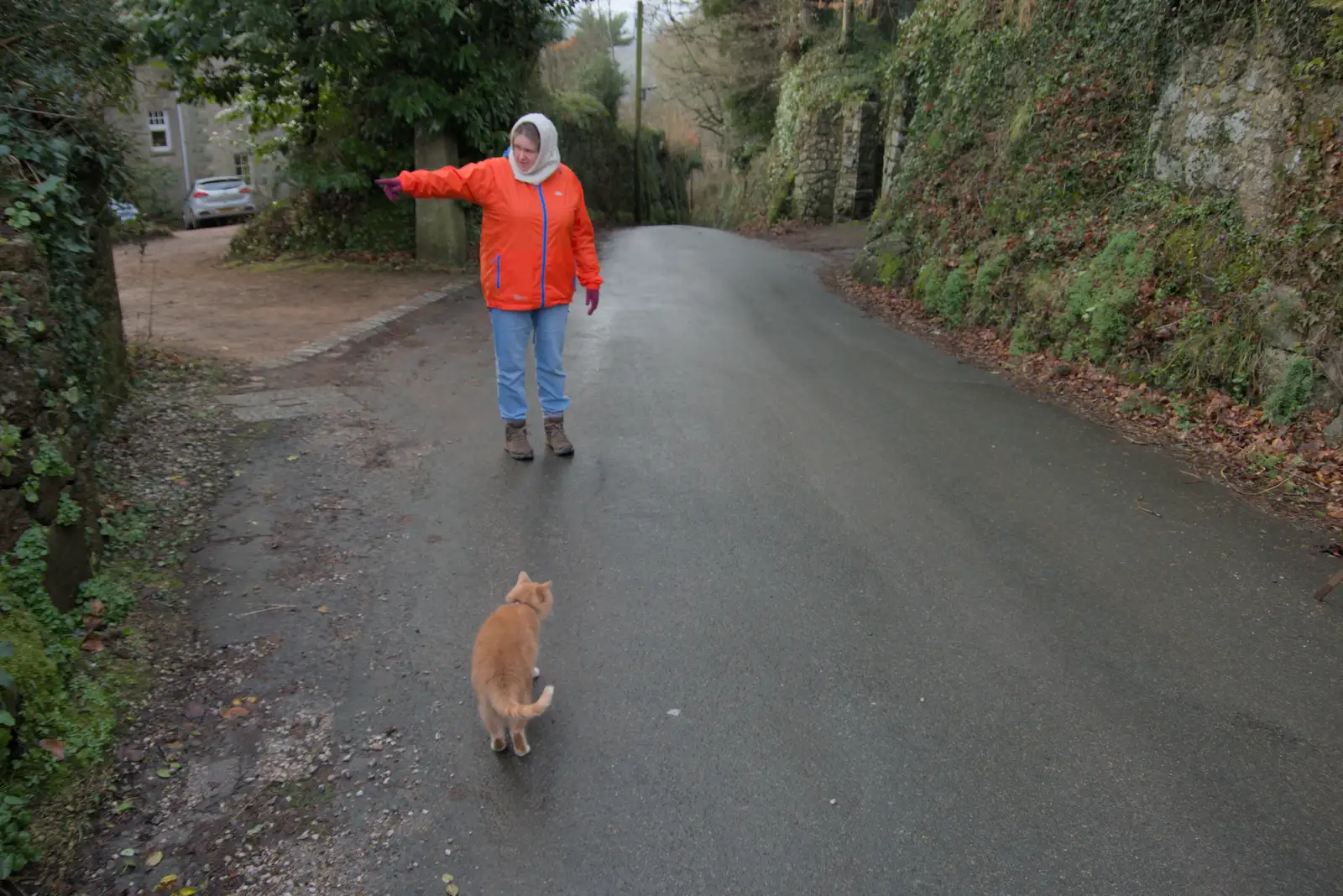 Isobel tells the following cat to go away, from A Return to Chagford, Devon - 16th February 2025