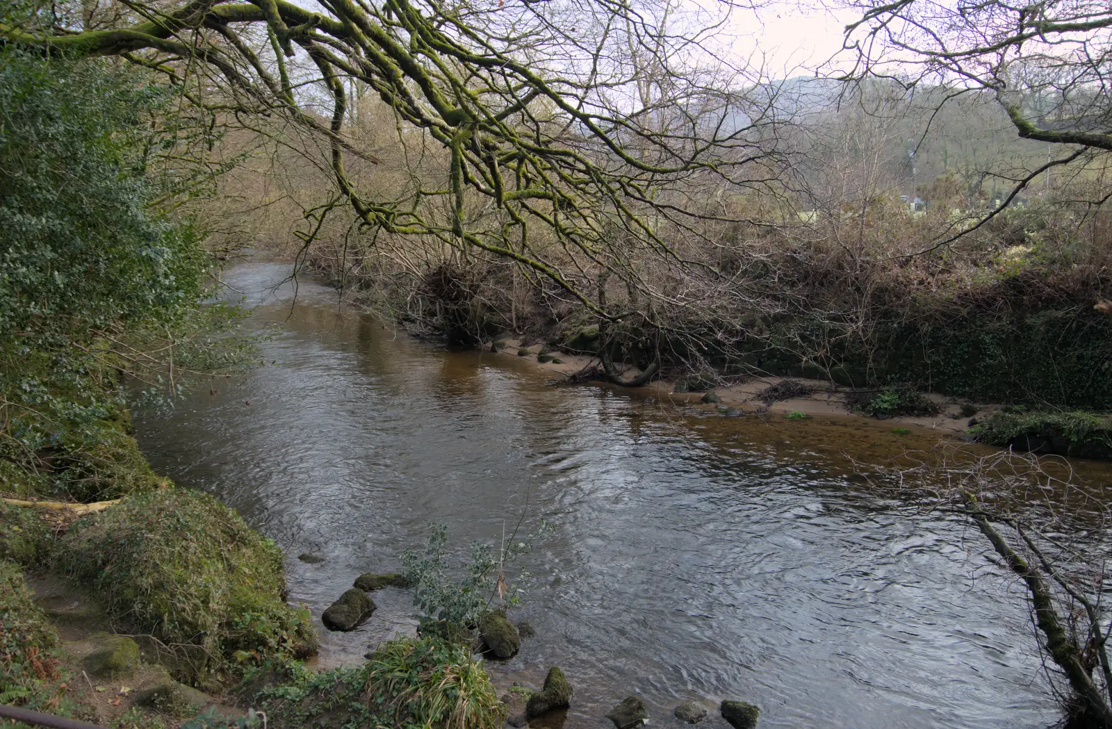 A tributary of the River Teign, from A Return to Chagford, Devon - 16th February 2025