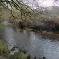 A tributary of the River Teign, A Return to Chagford, Devon - 16th February 2025