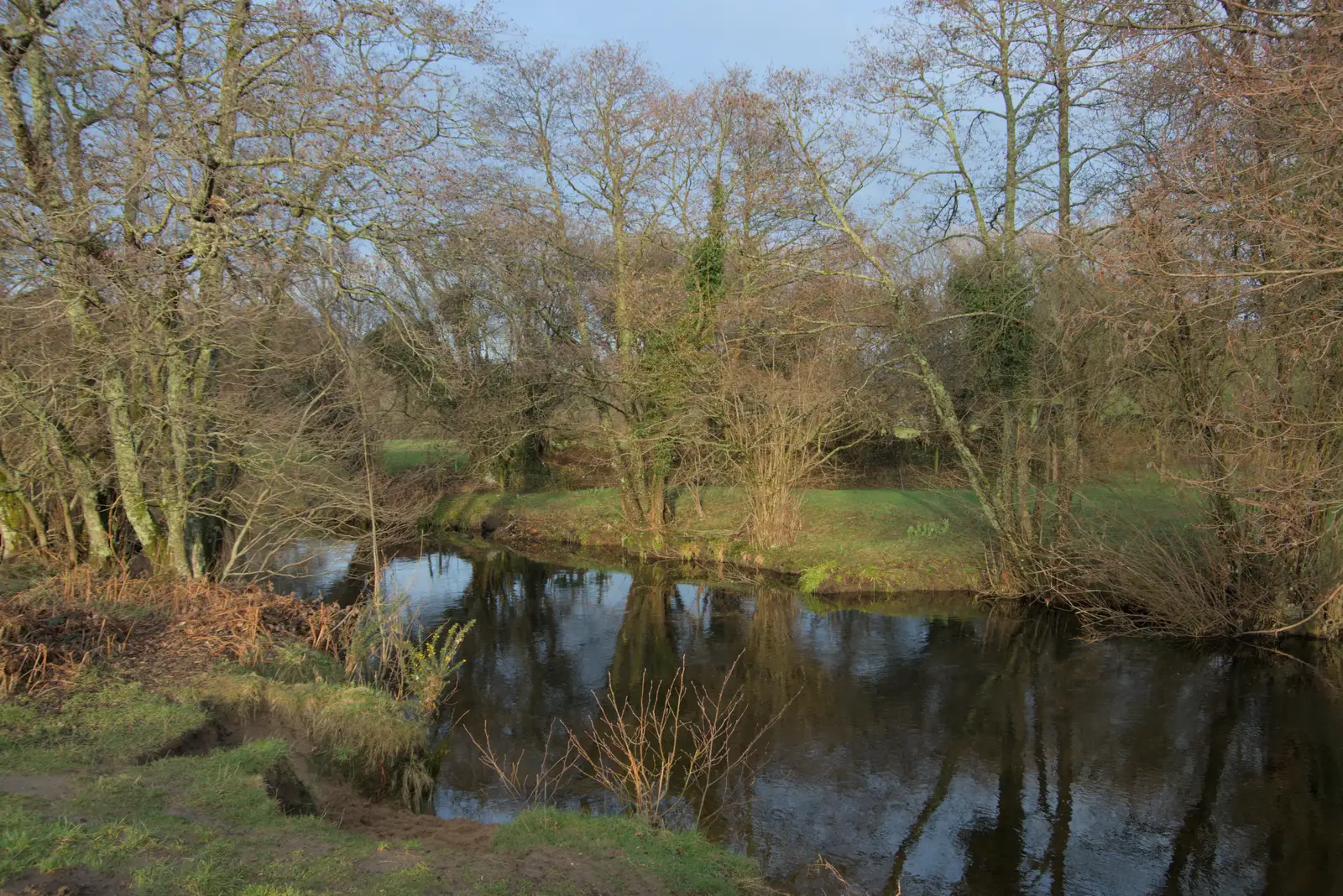 The river runs wide and still, from A Return to Chagford, Devon - 16th February 2025