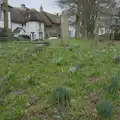 The churchyard is a carpet of crocuses, A Return to Chagford, Devon - 16th February 2025