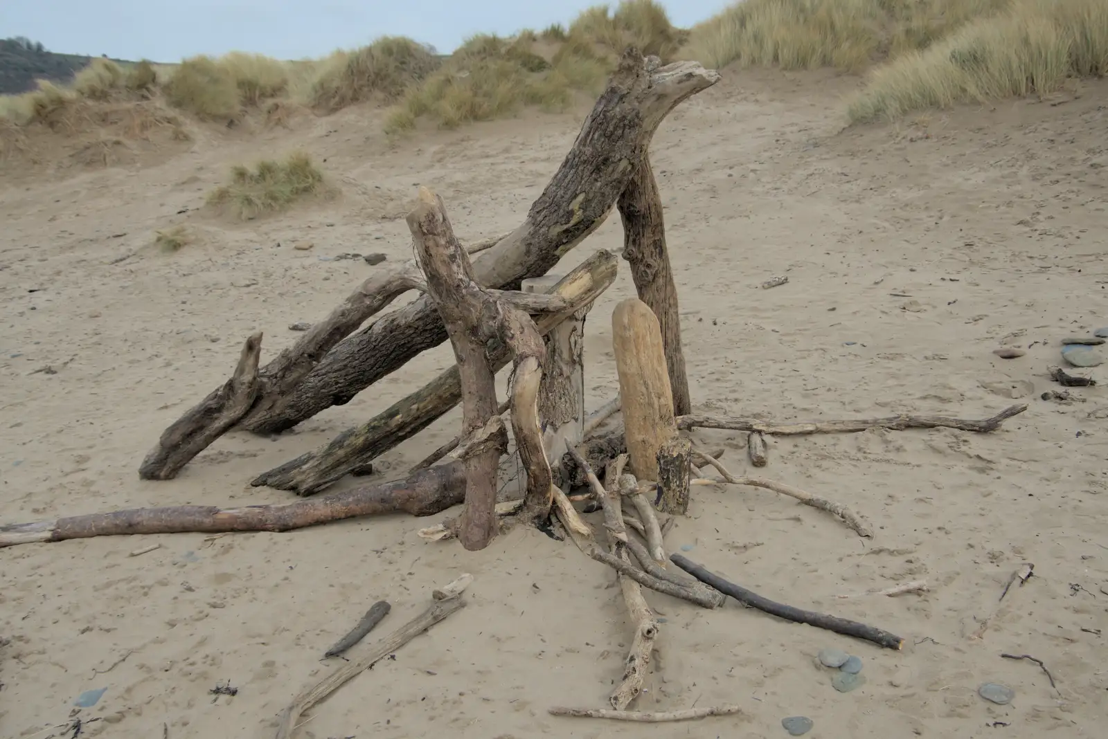 A stack of logs on the beach, from A Return to Chagford, Devon - 16th February 2025