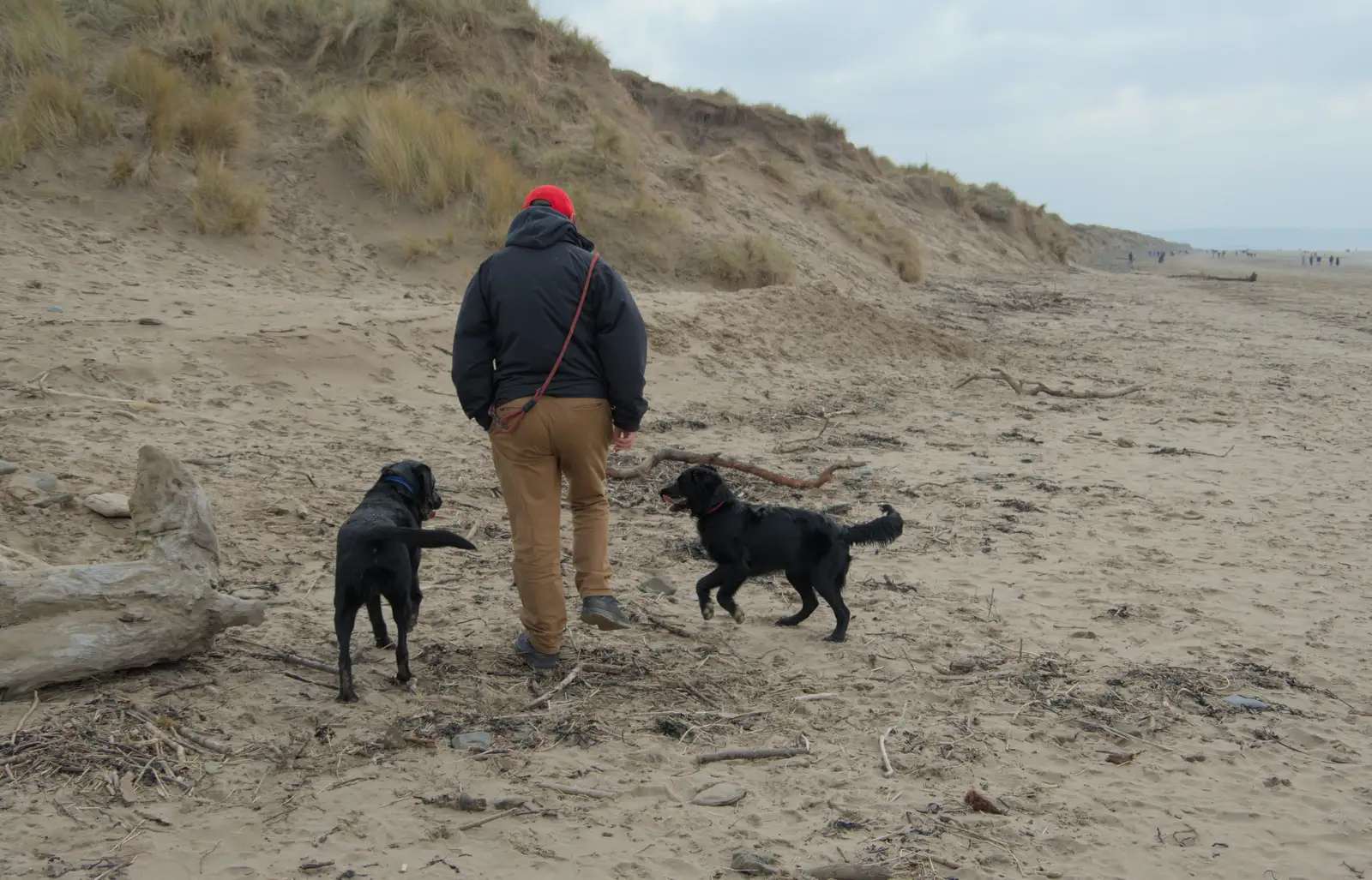 Matt with the dogs, from A Return to Chagford, Devon - 16th February 2025