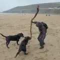 Harry's found a big stick, A Return to Chagford, Devon - 16th February 2025