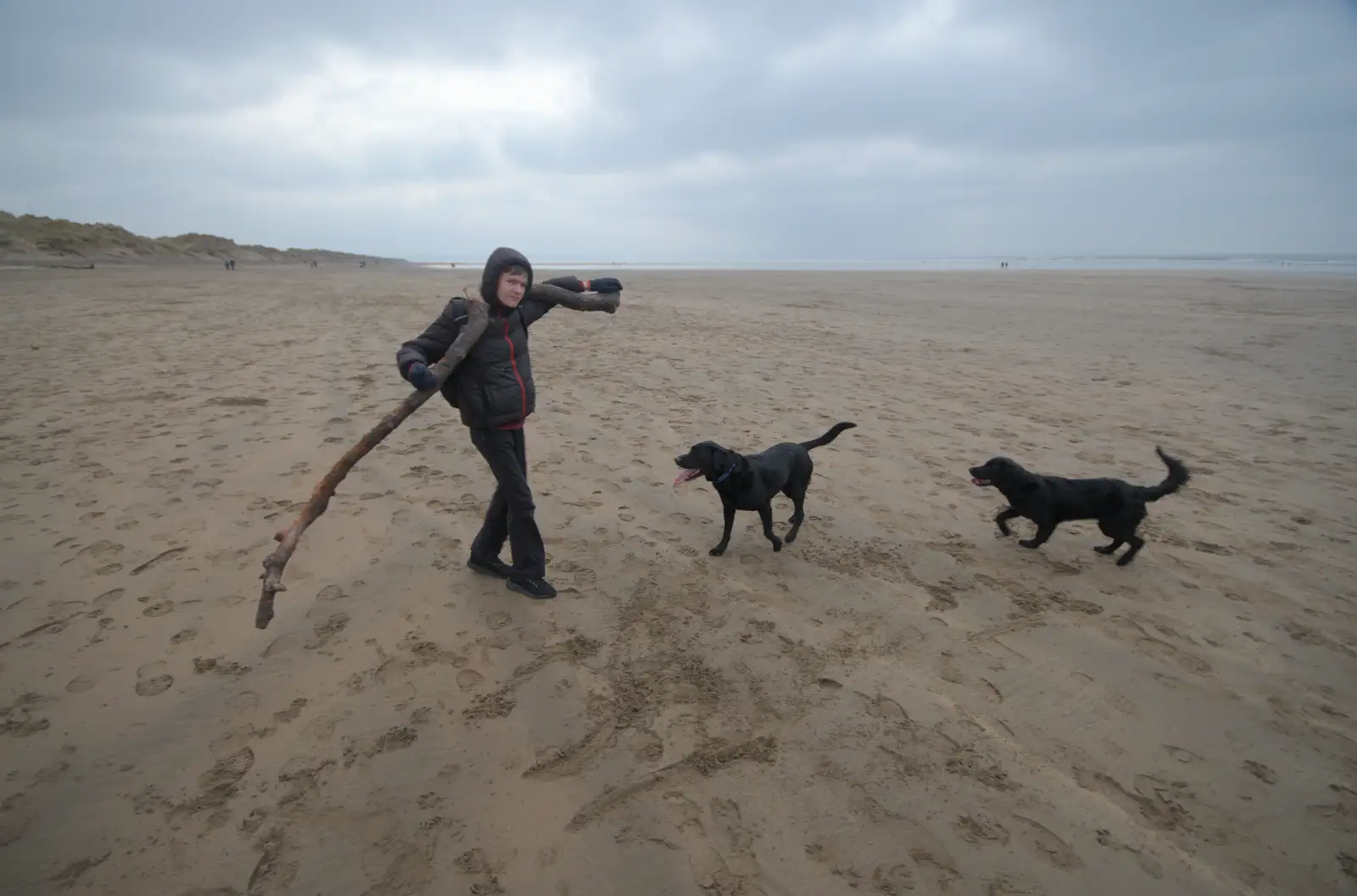 The dogs want some of Harry's stick, from A Return to Chagford, Devon - 16th February 2025