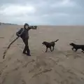 The dogs want some of Harry's stick, A Return to Chagford, Devon - 16th February 2025