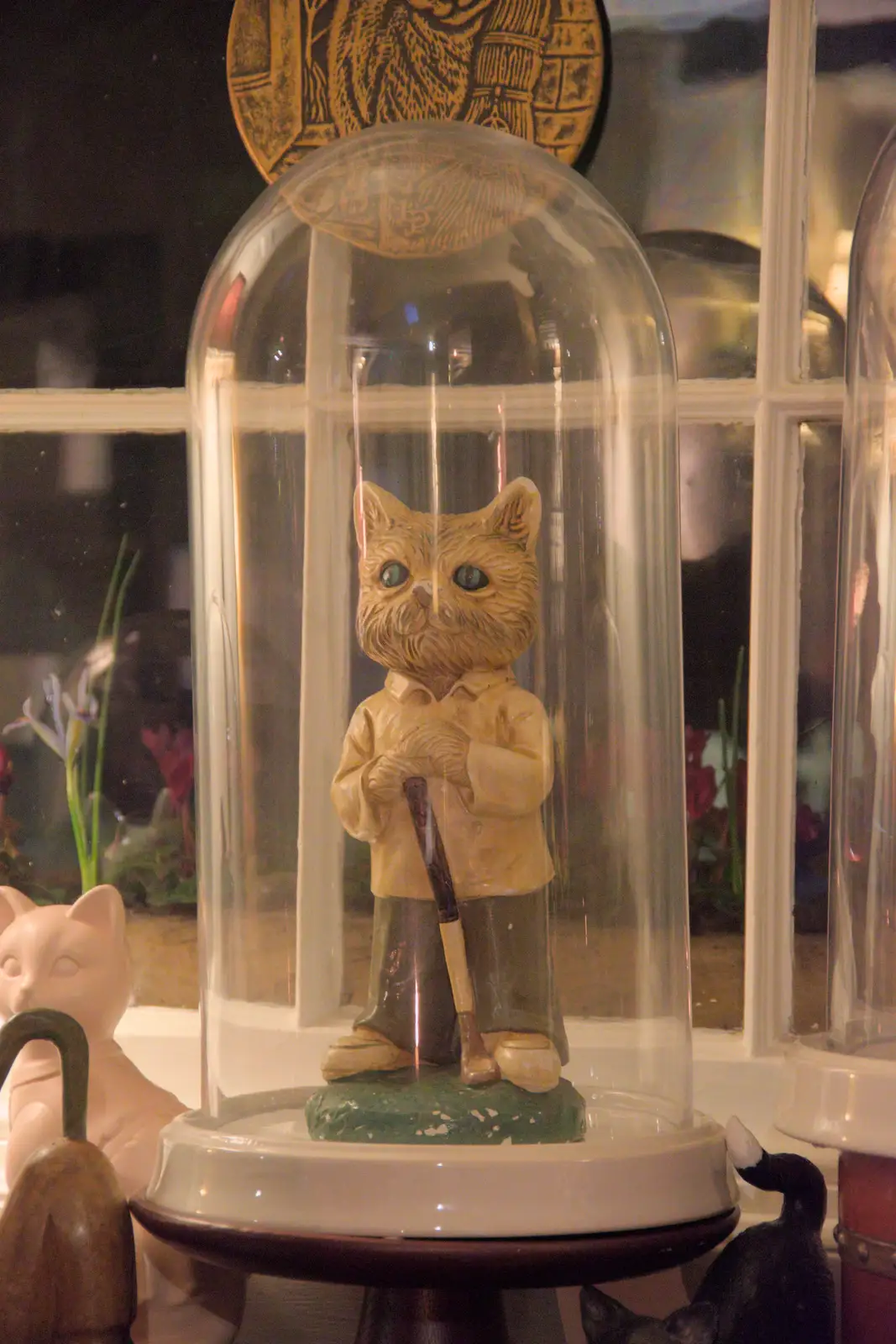 A random cat in a jar, from A Return to Chagford, Devon - 16th February 2025